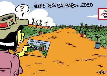 ALLÉE DES BAOBABS 2030