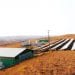 ÉNERGIE : Une centrale hybride, photovoltaïque et thermique pour Maevatanana