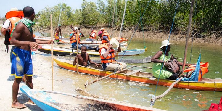 ENVIRONNEMENT : Des experts étrangers au secours de mangroves de la Tsiribihina