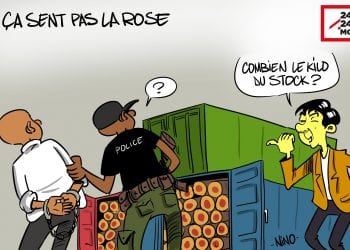 ÇA SENT PAS LA ROSE