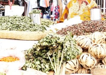FAHASALAMANA : Mila fitandremana ny fisotroana mangidy