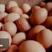 INDICE DES PPN DU MOIS D’AVRIL