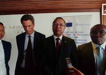 FAHALEOVANTENA ARA-TSAKAFO : MIZOTRA ARAKY NY TOKONY HO IZY NY EZAKA