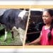 LA MINUTE FIHARIANA 15-01-2020