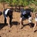 ENVIRONNEMENT – Reforestation de 5000 ha de mangrove à la prochaine campagne de reboisement