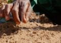 AGRICULTURE – Les jeunes ciblés pour le lancement du projet « Titre vert » dans le Vakinankaratra