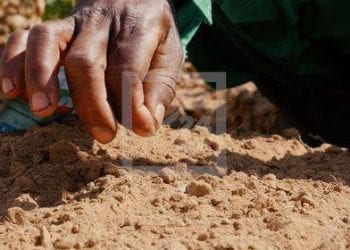 AGRICULTURE – Les jeunes ciblés pour le lancement du projet « Titre vert » dans le Vakinankaratra