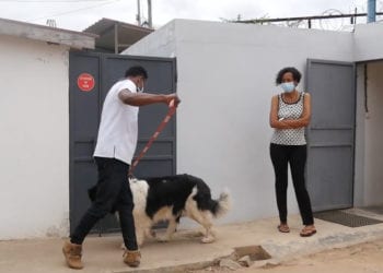 TRANQUILLITE PUBLIQUE : Comment faire pour que l’aboiement du chien ne dérange pas le voisinage ?