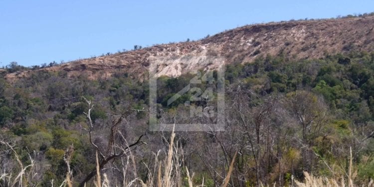 ENVIRONNEMENT- Le parc national d&rsquo;Ankarafantsika épargné par les feux depuis juin selon le ministère de l&rsquo;Environnement et du développement durable