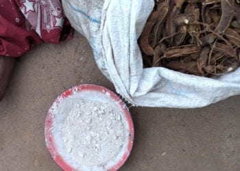 INSECURITE ALIMENTAIRE – Le Programme alimentaire mondial parle d&rsquo;une situation humanitaire « en désolation » dans le Sud