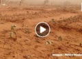 METEO – Une chasse-sable n’est pas une tempête de sable