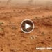 METEO – Une chasse-sable n’est pas une tempête de sable