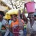 INSECURITE ALIMENTAIRE – Six tonnes de maïs concassés pour 1200 familles d’Antanimora dans le district d’Ambovombe