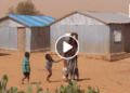 INSECURITE ALIMENTAIRE – Une lutte sans frontière avec l’ONG brésilienne Fraternidad sem fronteiras