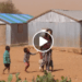 INSECURITE ALIMENTAIRE – Une lutte sans frontière avec l&rsquo;ONG brésilienne Fraternidad sem fronteiras