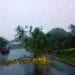 CYCLONE – La JIRAMA suspend l&rsquo;alimentation en électricité à Antalaha à cause du passage d&rsquo;Eloïse