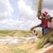 AGRICULTURE – Quand le riz précoce arrive en retard