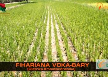 La minute Fihariana – Fihariana Voka-bary