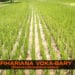 La minute Fihariana – Fihariana Voka-bary