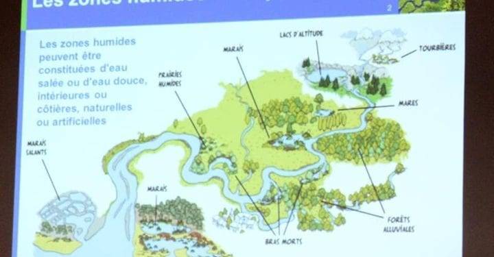 ENVIRONNEMENT – 60% des zones humides d&rsquo;Antananarivo détruites, selon le ministère de l&rsquo;Environnement et du développement durable