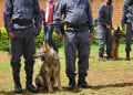 CONTROLE AUX FRONTIERES – La direction générale des douanes se dote d’une brigade canine pour détecter les marchandises illicites qui tentent de passer les frontières