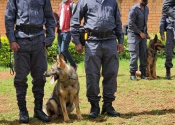 CONTROLE AUX FRONTIERES – La direction générale des douanes se dote d’une brigade canine pour détecter les marchandises illicites qui tentent de passer les frontières