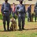 CONTROLE AUX FRONTIERES – La direction générale des douanes se dote d’une brigade canine pour détecter les marchandises illicites qui tentent de passer les frontières