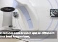TRAITEMENT DU CANCER – La radiothérapie, comment ça marche ?