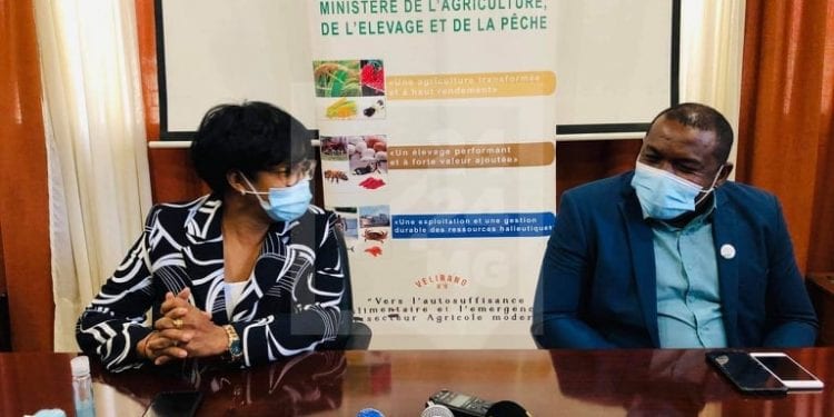 ELEVAGE – 473 bovidés décédés dans le Vatovavy Fitovinany des suites de la Fièvre de la vallée du Rift, 576 autres infectés selon le ministère de l&rsquo;Agriculture, de l&rsquo;élevage et de la pêche