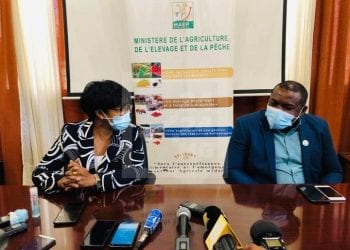 ELEVAGE – 473 bovidés décédés dans le Vatovavy Fitovinany des suites de la Fièvre de la vallée du Rift, 576 autres infectés selon le ministère de l&rsquo;Agriculture, de l&rsquo;élevage et de la pêche