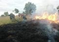 INCENDIE – La ministre de l’Environnement alerte contre des feux de brousse et de forêt précoces et soupçonnent des actes criminels