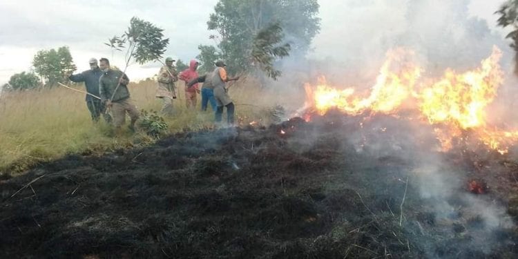 INCENDIE – La ministre de l’Environnement alerte contre des feux de brousse et de forêt précoces et soupçonnent des actes criminels