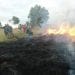 INCENDIE – La ministre de l’Environnement alerte contre des feux de brousse et de forêt précoces et soupçonnent des actes criminels