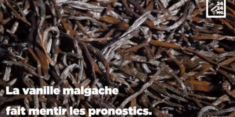 COMMERCE – Le volume de la vanille exportée en hausse, les recettes en légère baisse