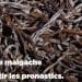 COMMERCE – Le volume de la vanille exportée en hausse, les recettes en légère baisse
