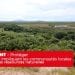 ENVIRONNEMENT – Protéger la biodiversité en impliquant les communautés locales dans la gestion des ressources naturelles