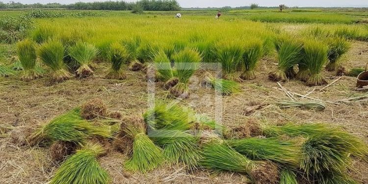 SANTE PUBLIQUE – Le Premier ministre Christian Ntsay annonce la construction d’un centre thermal à Betsiaka Ambilobe