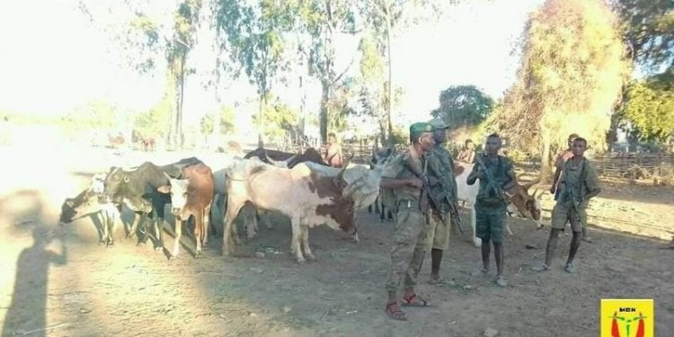 PREVENTION – 49 sites de vaccination contre la Covid-19 ouverts dans la région d&rsquo;Analamanga, dont un à l&rsquo;Université d&rsquo;Antananarivo à partir du 3 Juin