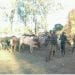 PREVENTION – 49 sites de vaccination contre la Covid-19 ouverts dans la région d&rsquo;Analamanga, dont un à l&rsquo;Université d&rsquo;Antananarivo à partir du 3 Juin