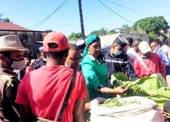 COMMERCE – Le gouvernorat d’Atsinanana rappelle que le prix de la vanille verte ne doit pas être inférieur à 75.000 ariary