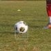 FOOTBALL –  Huit des 13 clubs de Pro League engagés en Coupe de Madagascar éliminés à l&rsquo;issue des 16ème de finale