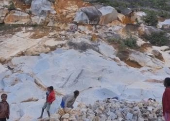 Les impacts de la Covid-19 sur les activités des entreprises à Madagascar