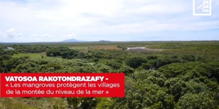 VATOSOA RAKOTONDRAZAFY – « Les mangroves protègent les villages de la montée du niveau de la mer »