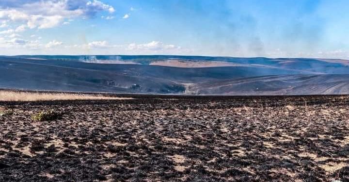 FEUX DE BROUSSE – 200 hectares brûlés au champ de tir de l’Armée à Tampoketsa