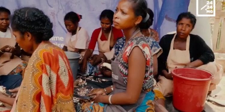 LUTTE CONTRE L’INSECURITE ALIMENTAIRE – Et si une meilleure conservation du manioc aidait à sauver le Sud de Madagascar du kere ?