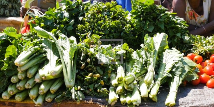 SECHERESSE DANS LE SUD – Des produits et des légumes frais à bas prix sur les marchés d’Ambovombe grâce aux petites pluies du premier trimestre de 2021