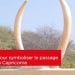 TOURISME – Deux cornes pour symboliser le passage du tropique du Capricorne
