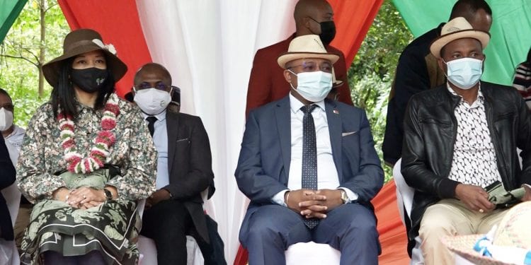 ENVIRONNEMENT – Les crapauds asiatiques dits « radakaboka » menacent la partie orientale de Madagascar