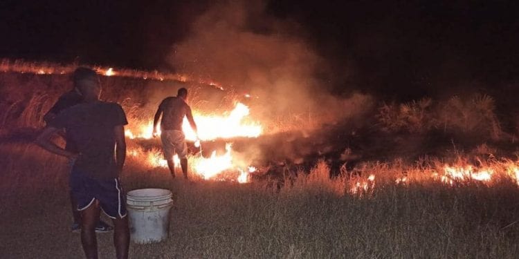 ENVIRONNEMENT – 215 individus mis en prison pour crime environnemental dans le Boeny et le Betsiboka depuis 2019, selon la direction interrégionale de l’environnement et du développement durables des deux régions