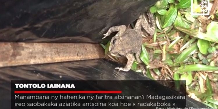 VAOVAO – MINUTE FLASH 21 SEPTAMBRA 2021